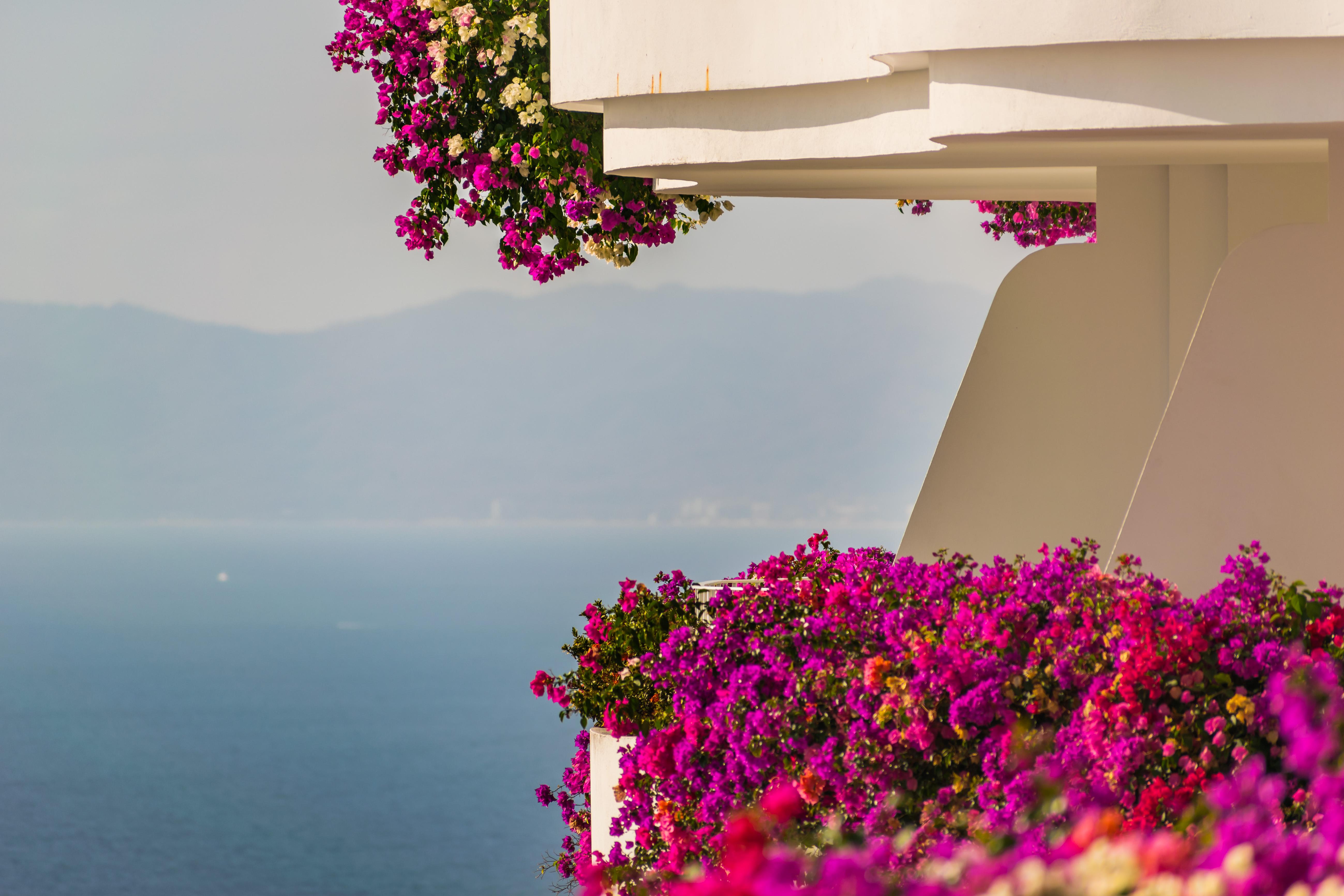 Grand Miramar All Luxury Suites & Residences (Adults Only) Puerto Vallarta Exterior foto