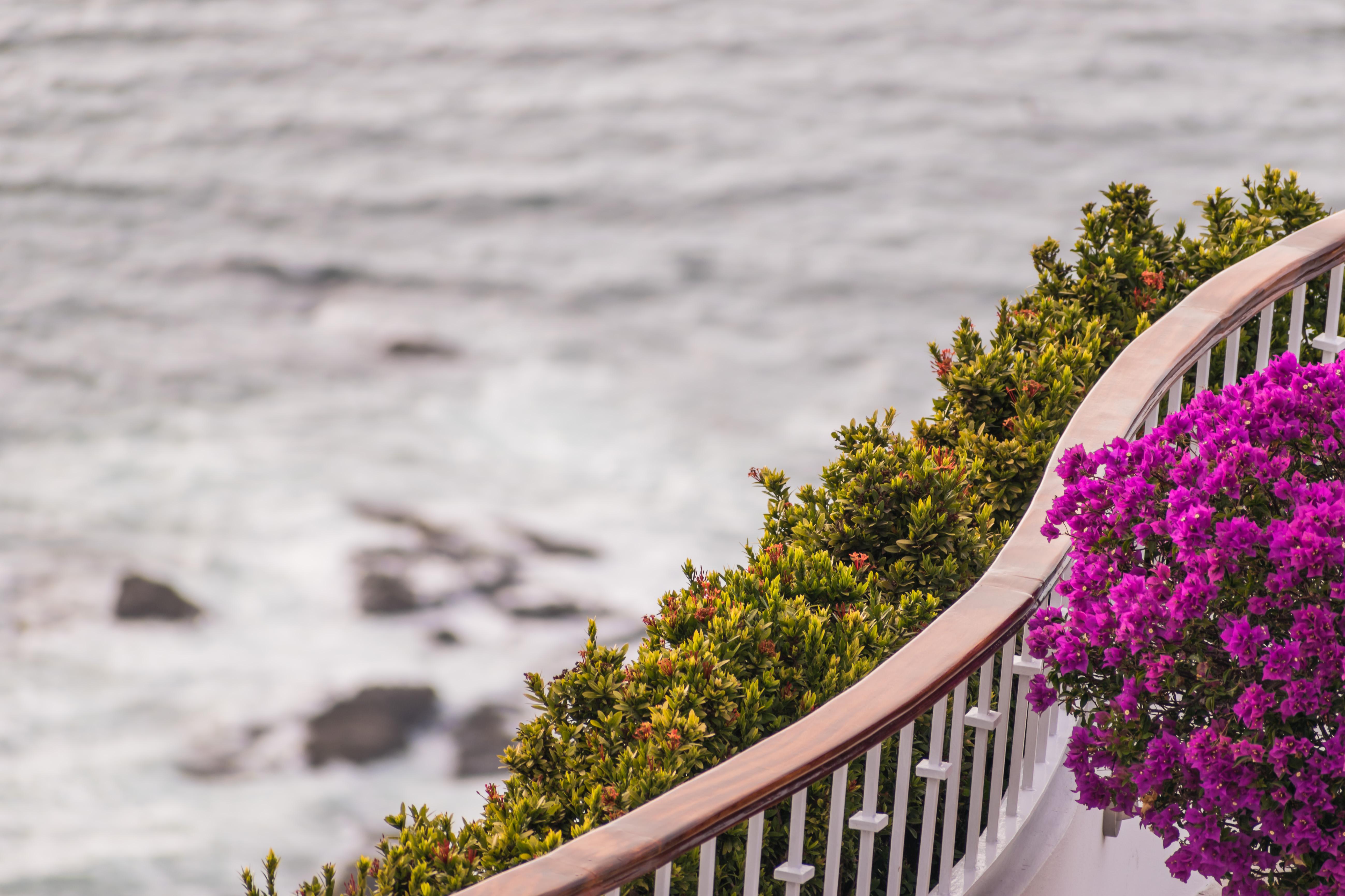 Grand Miramar All Luxury Suites & Residences (Adults Only) Puerto Vallarta Exterior foto