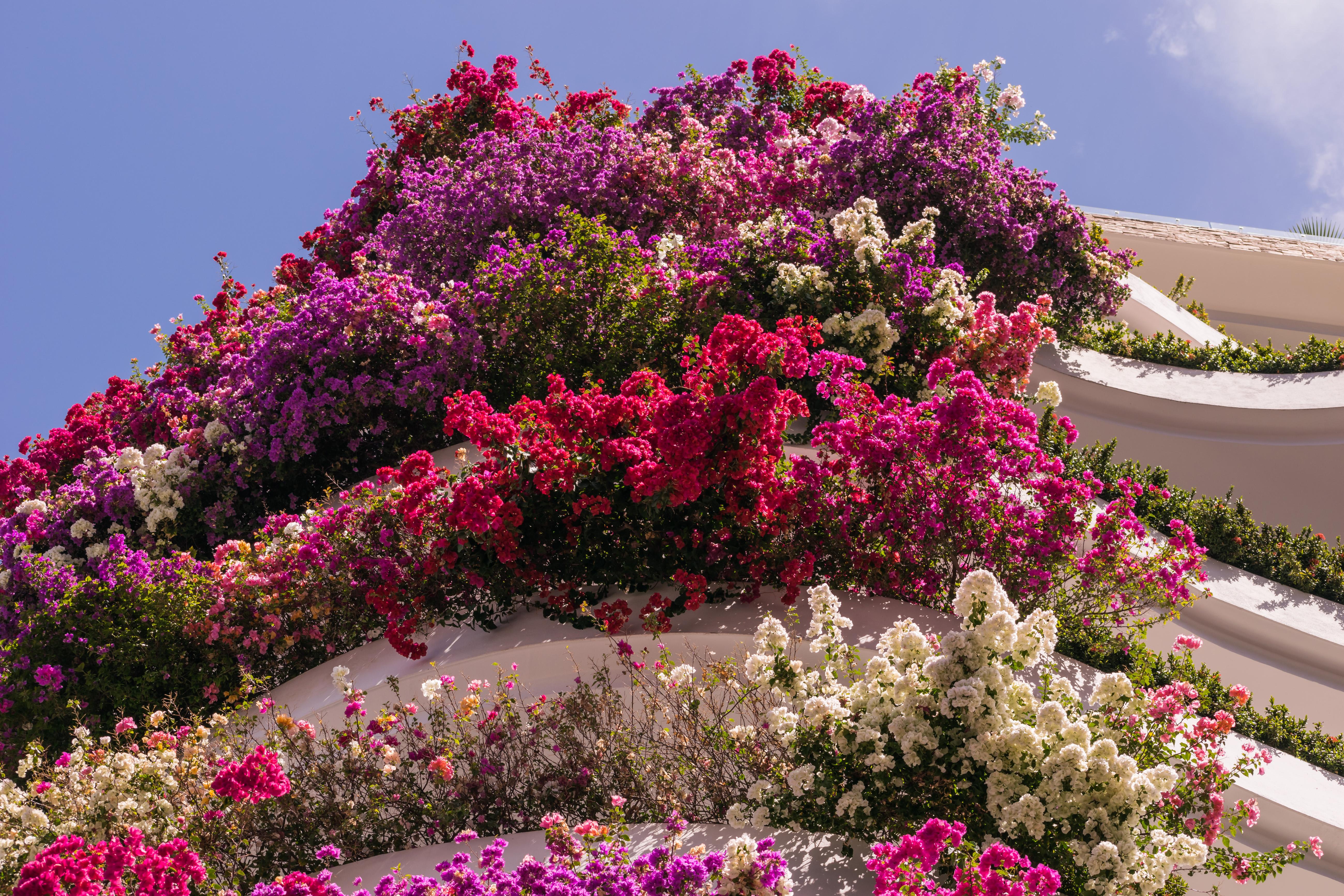 Grand Miramar All Luxury Suites & Residences (Adults Only) Puerto Vallarta Exterior foto