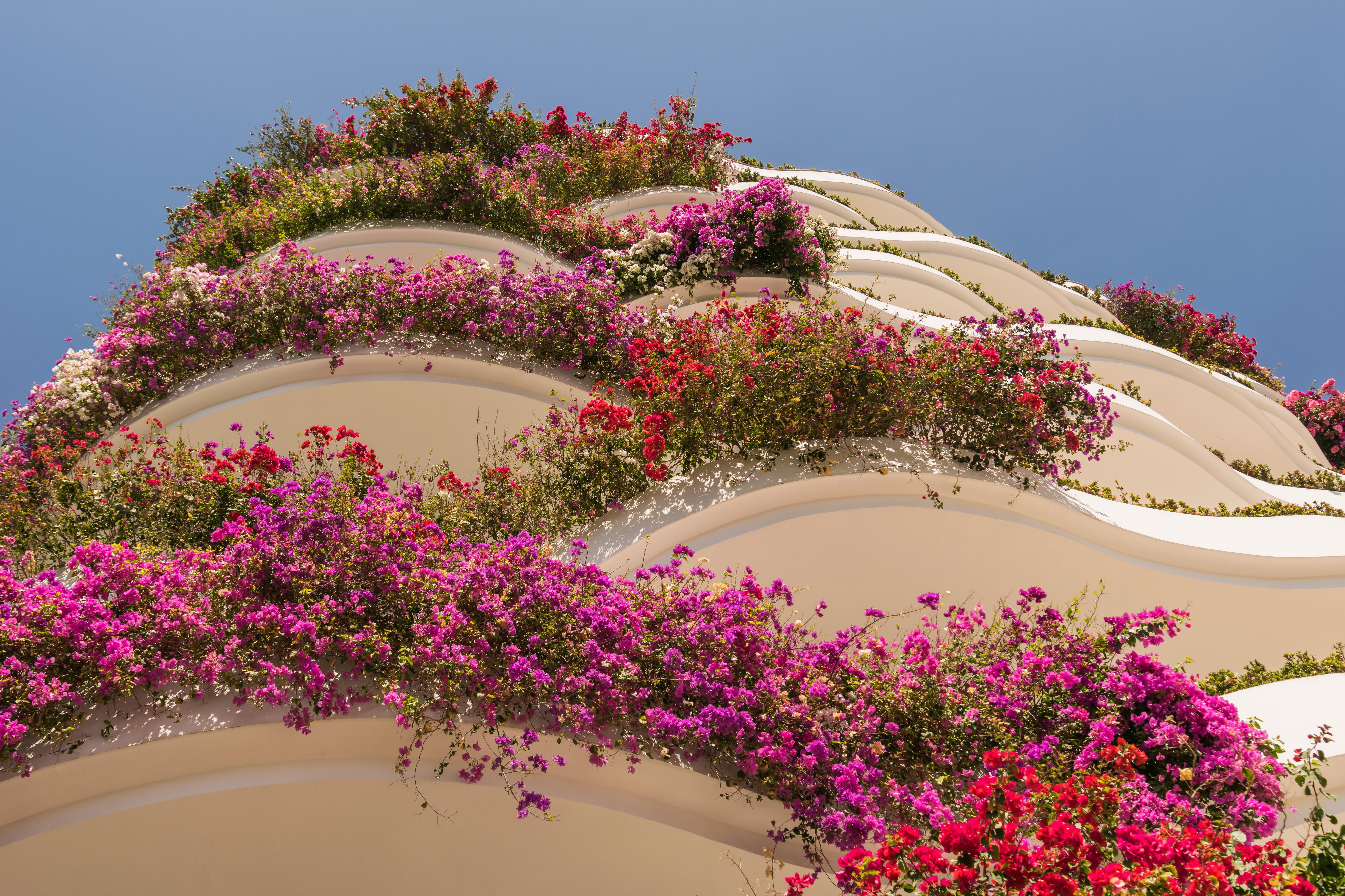 Grand Miramar All Luxury Suites & Residences (Adults Only) Puerto Vallarta Exterior foto